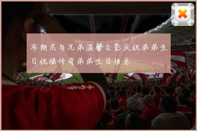 布朗尼与兄弟温馨合影庆祝弟弟生日祝福传奇弟弟生日快乐