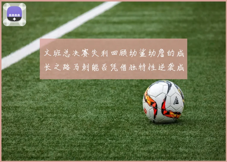 文班总决赛失利回顾幼鲨幼詹的成长之路马刺能否凭借独特性逆袭成功