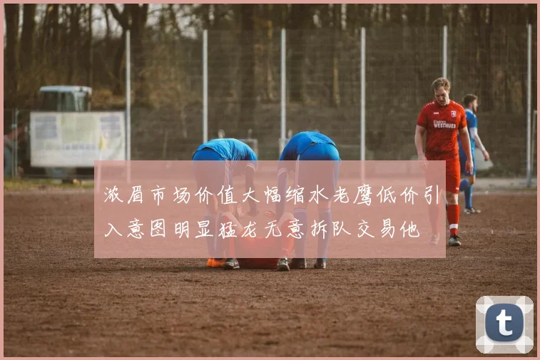 浓眉市场价值大幅缩水老鹰低价引入意图明显猛龙无意拆队交易他